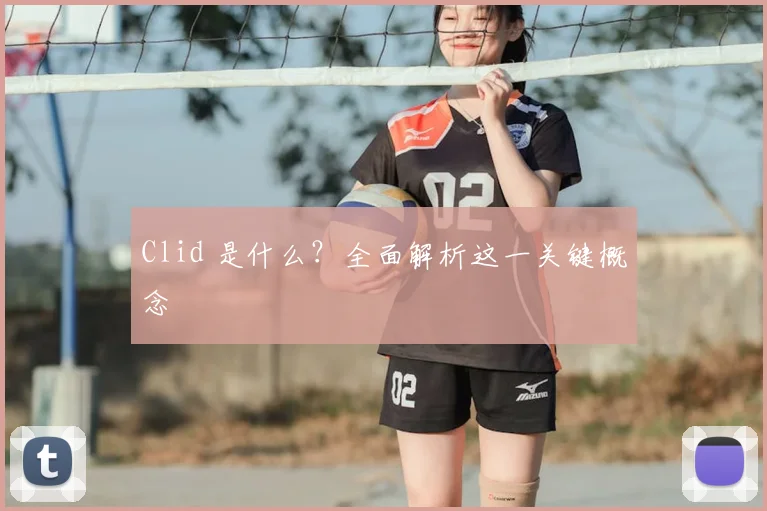 Clid 是什么？全面解析这一关键概念