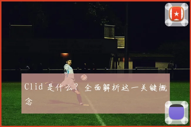 Clid 是什么？全面解析这一关键概念